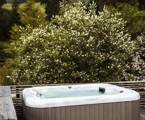 Altholz-apartment Apartament Ramsau am Dachstein